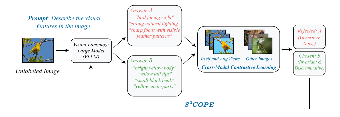Overview of the S²COPE Discovery Loop